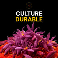 Safran Premium Safranwunder – culture durable