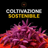Zafferano Premium Safranwunder – coltivazione sostenibile